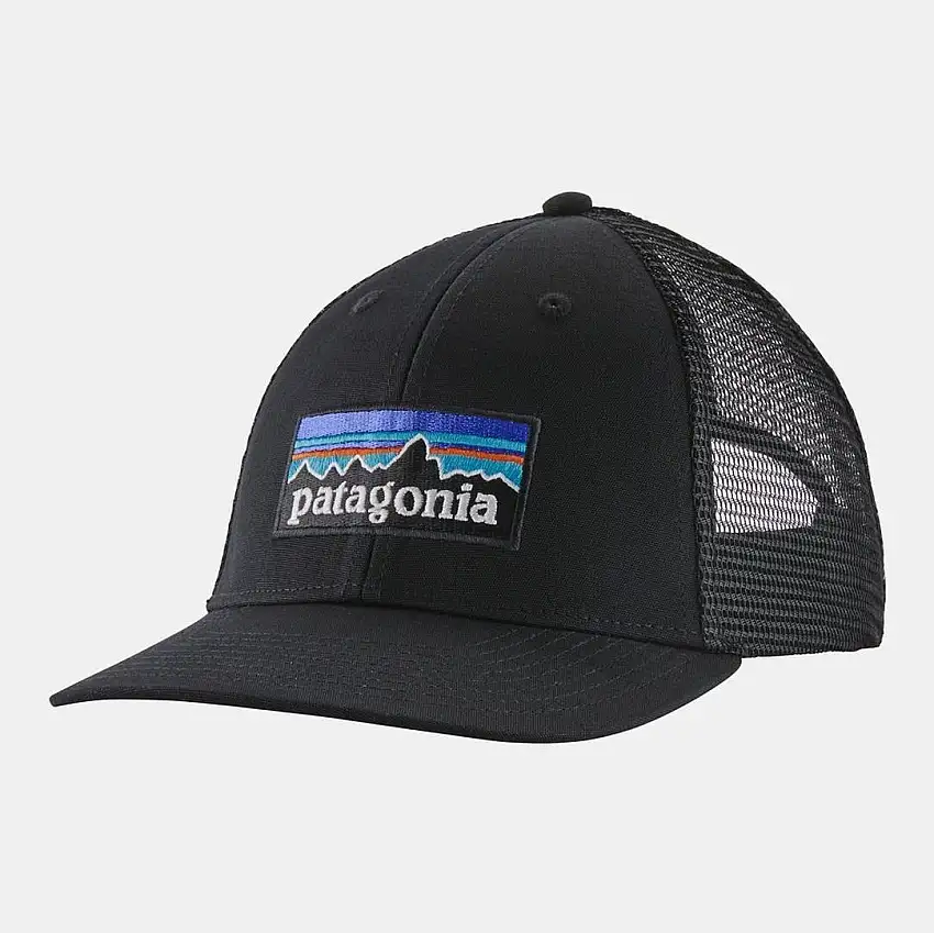 Patagonia Unisex P-6 Logo LoPro Trucker Cap