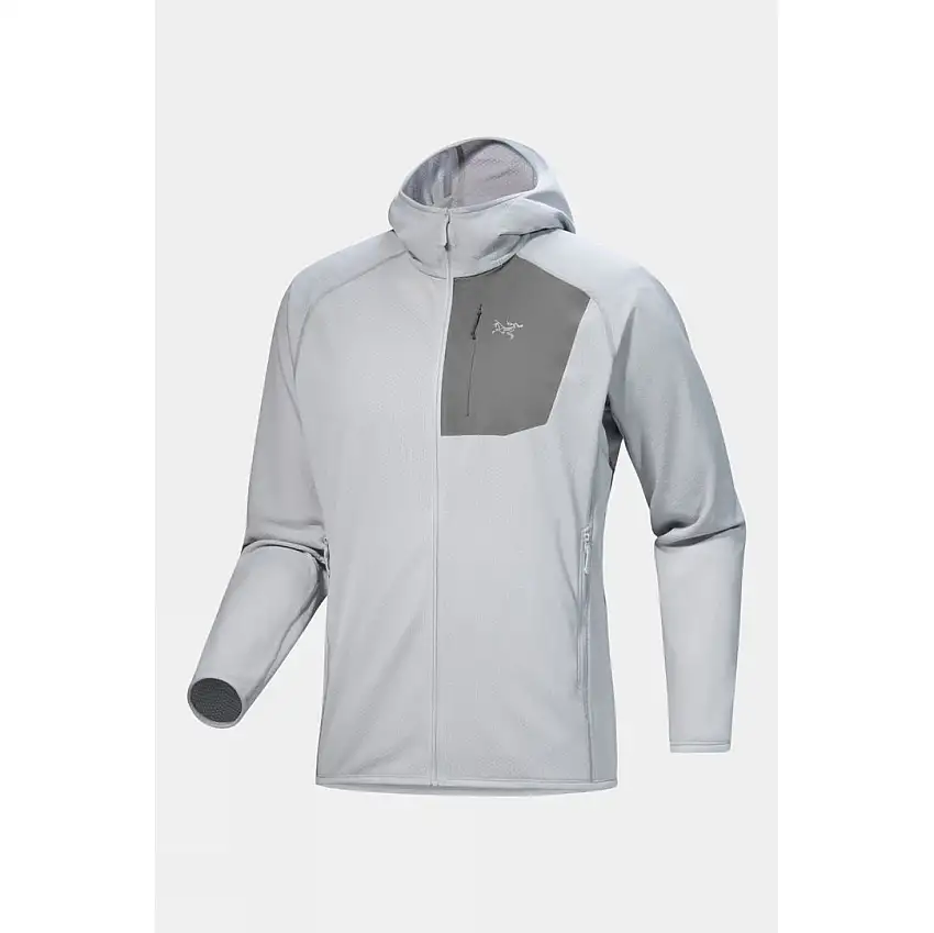 Arc'teryx Mens Delta Hoody Fleece