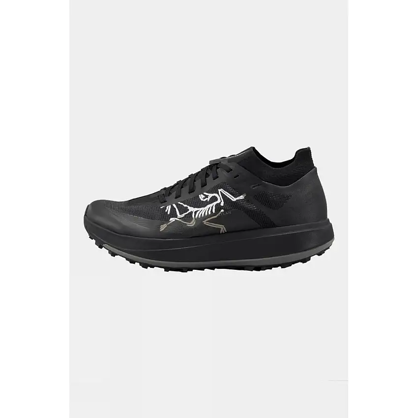Arc'teryx Mens Sylan Pro Shoes