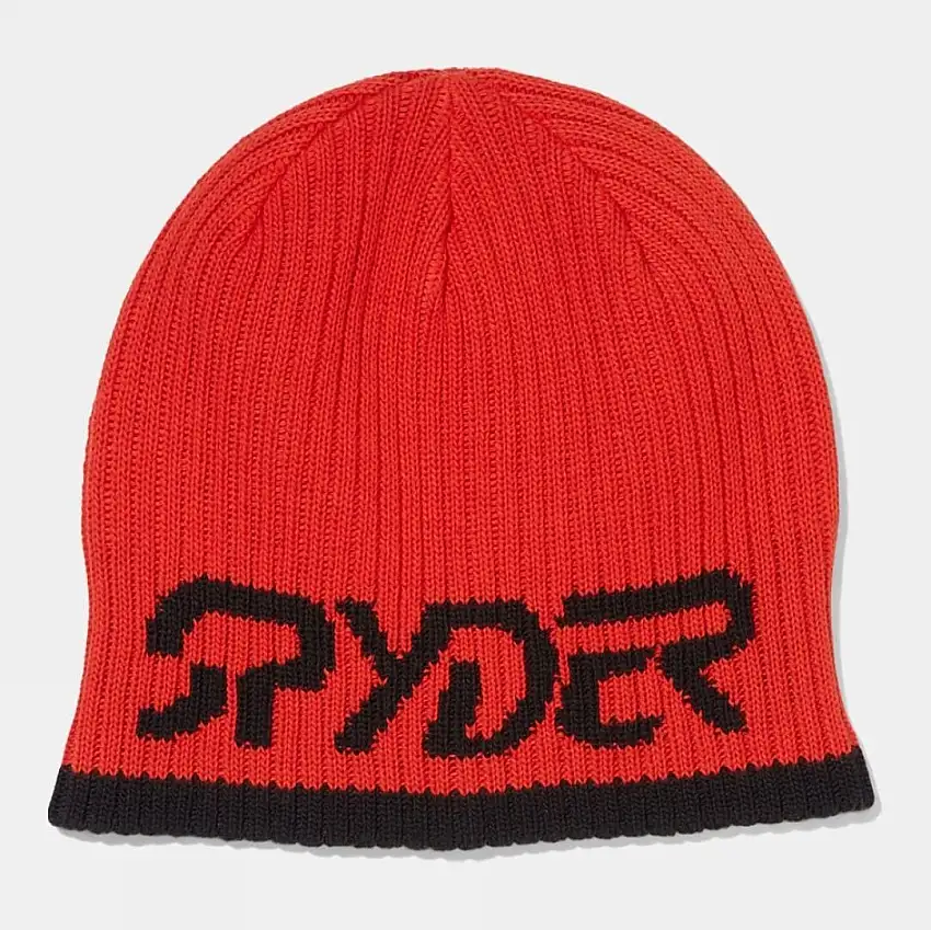 Spyder Unisex Logo Beanie