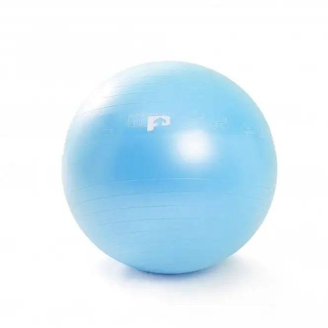 Ultimate Performance Performance Inflatable Gym Ball Blue